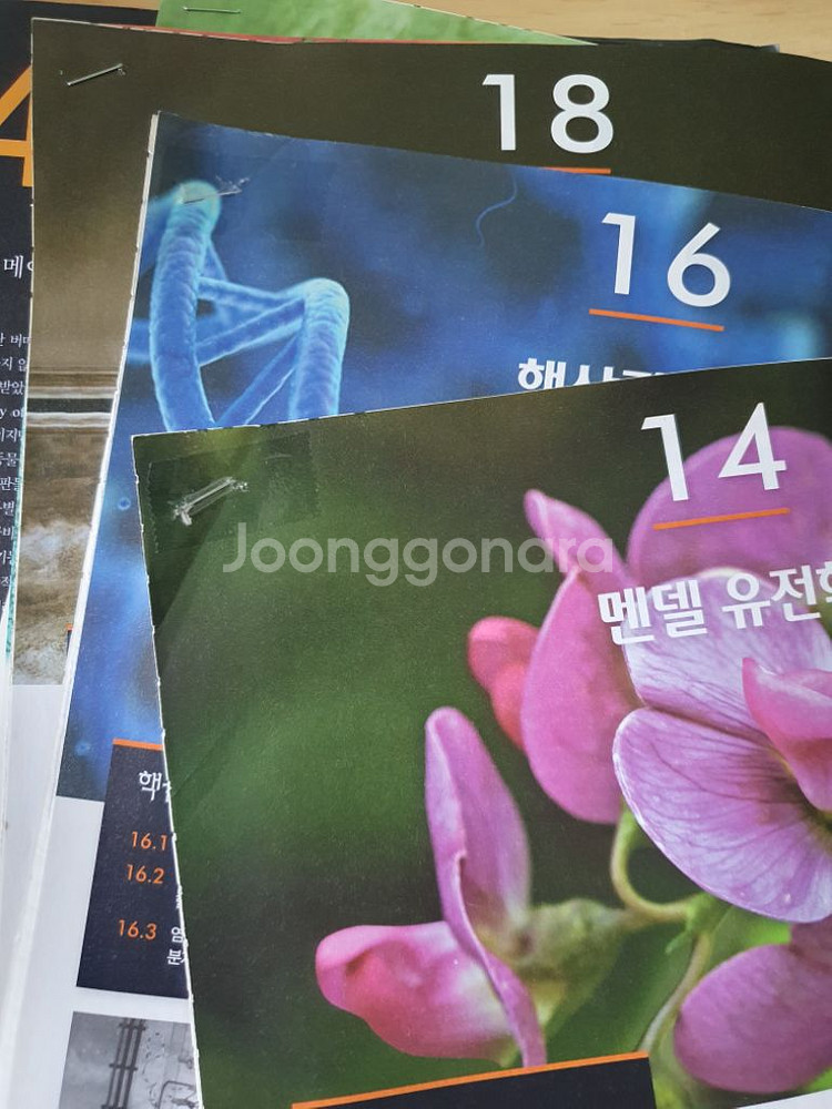 캠벨 생명과학 10판--6