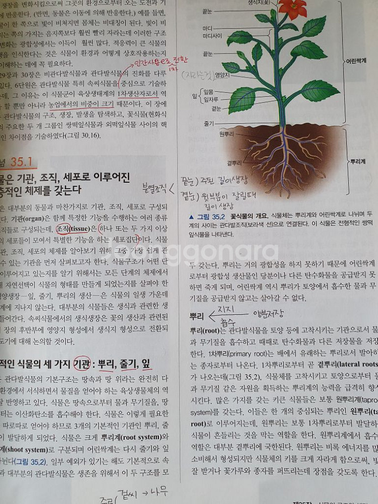 캠벨 생명과학 10판--1