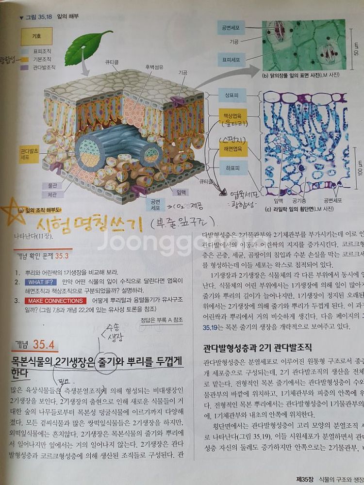 캠벨 생명과학 10판--2