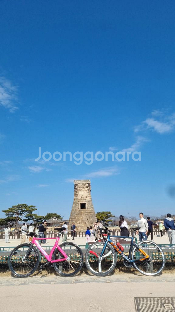 첼로 엘리엇 s8 로드자전거 판매--1