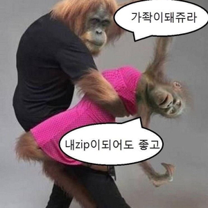 배송