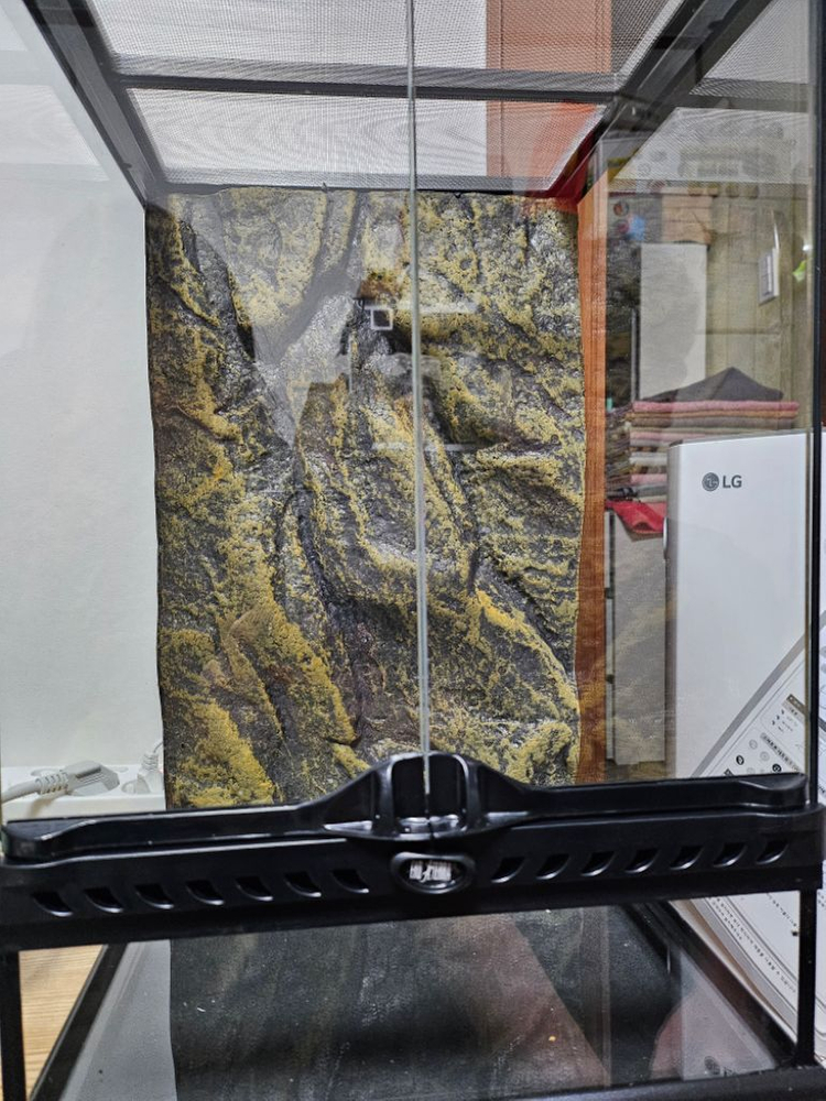 엑소테라 유리사육장--1