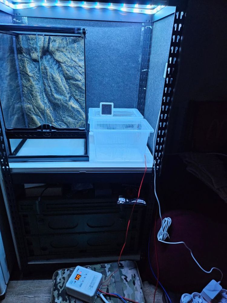 엑소테라 유리사육장--3