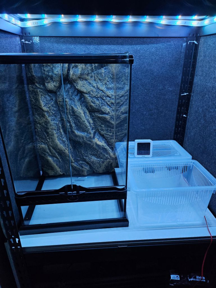 엑소테라 유리사육장--2