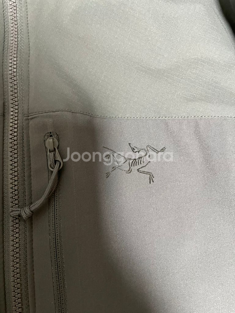 아크테릭스 리프 아톰lt 후디 gen2 s--1