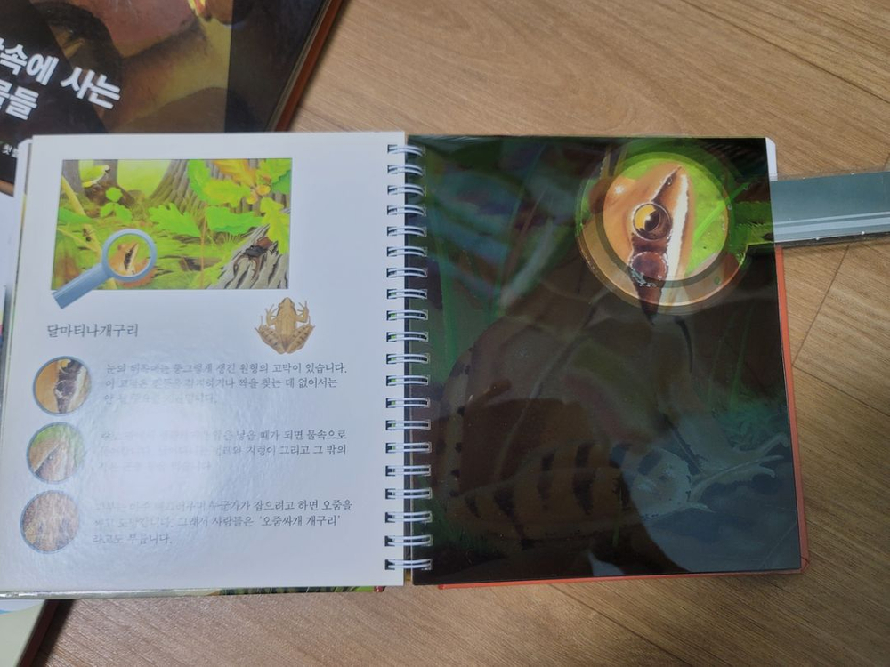 오르다 첫발견--9