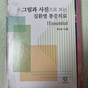 그림과 사진으로 보는 질환별 통증치료 essential