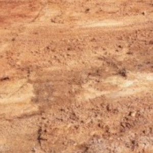 용인 무료 토사(흙) 나눔 - 매립용