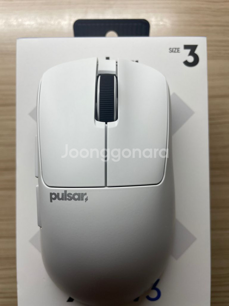 펄사 xlite v3 라지 팝니다--1