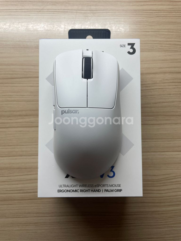 펄사 xlite v3 라지 팝니다--0