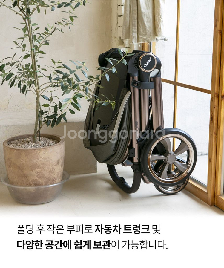 오이스터3 플러스 샴페인샌드 판매--2