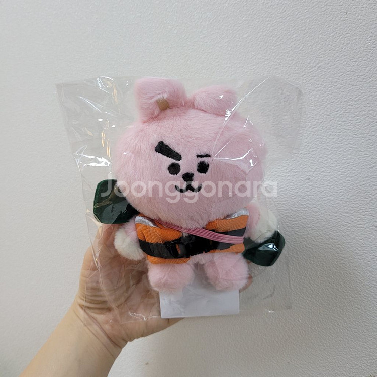 BT21 피크닉 미니인형 쿠키 Cooky BTS--4