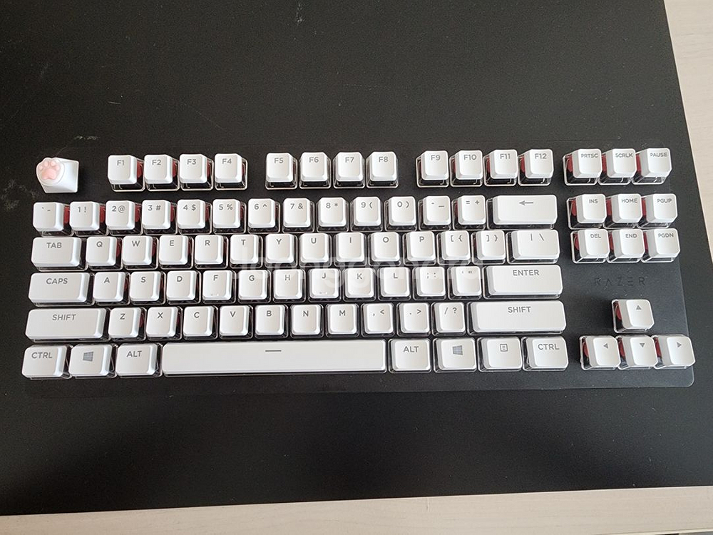 레이저 헌츠맨 v2 tkl 리니어 (풀윤활) 팝니다--3