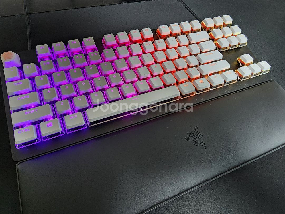 레이저 헌츠맨 v2 tkl 리니어 (풀윤활) 팝니다--4