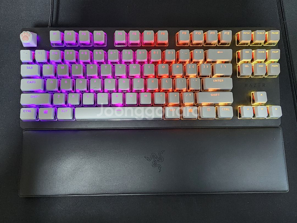 레이저 헌츠맨 v2 tkl 리니어 (풀윤활) 팝니다--5