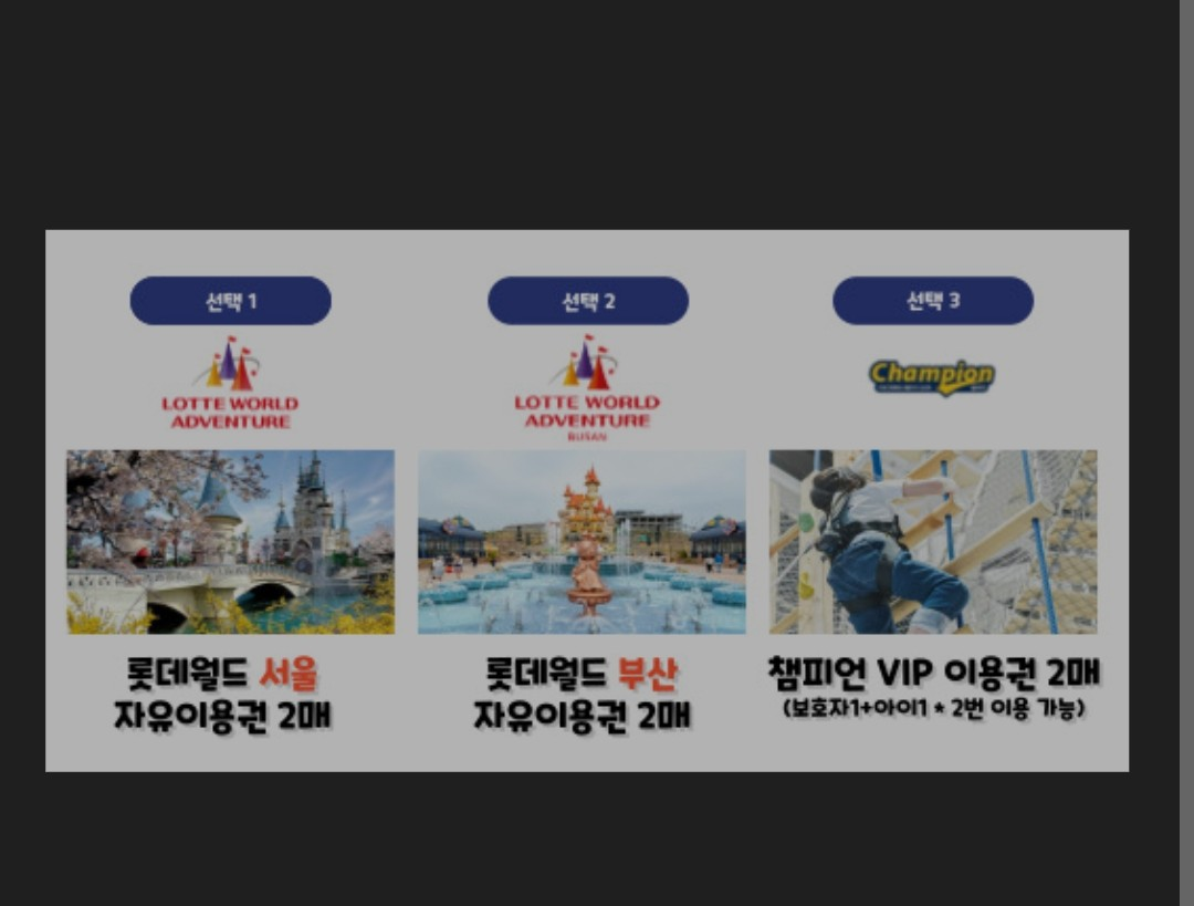 부산롯데월드 자유이용권 2매