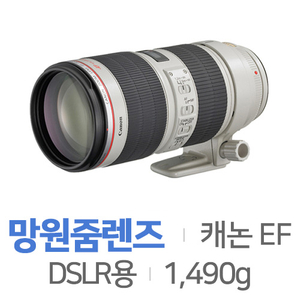 디지털카메라DSLR