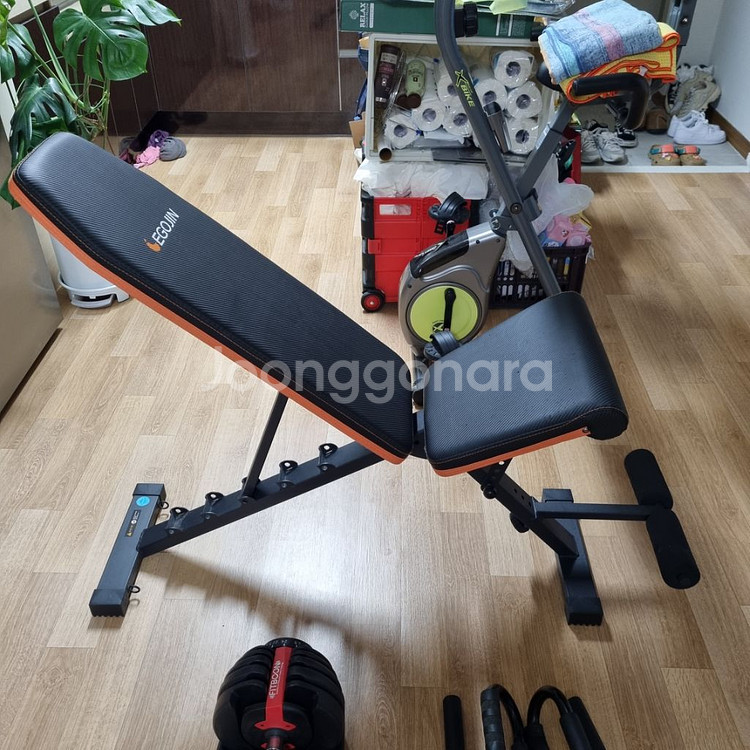 (급처)핏분 24kg 덤벨 1세트, 인클라인벤치,푸시업--1