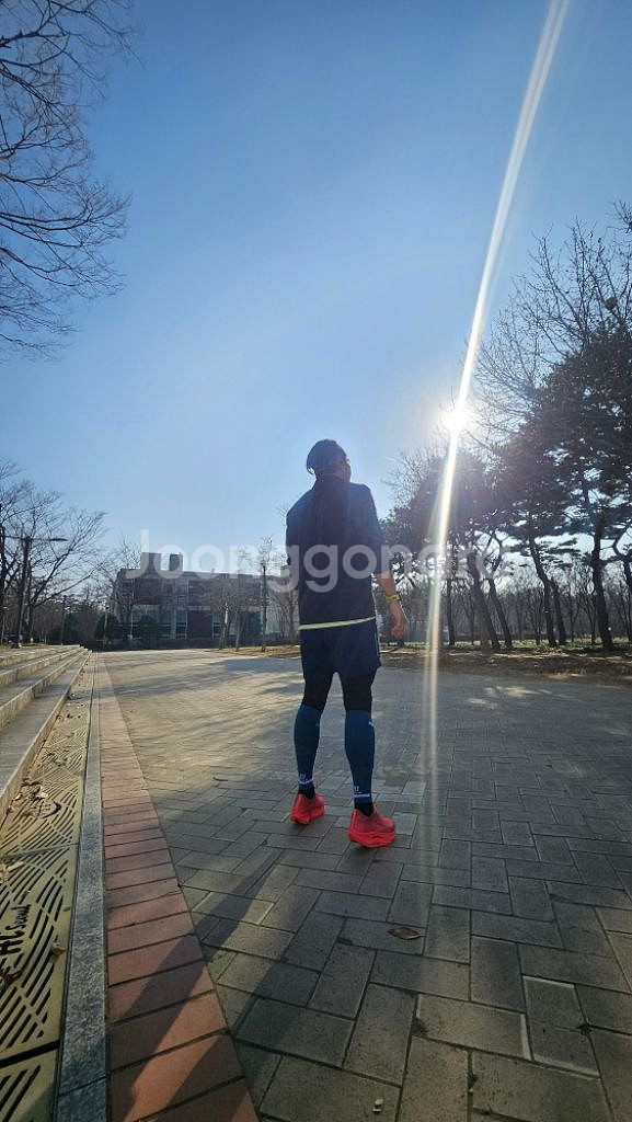 미즈노 리벨리온 프로2 260--6