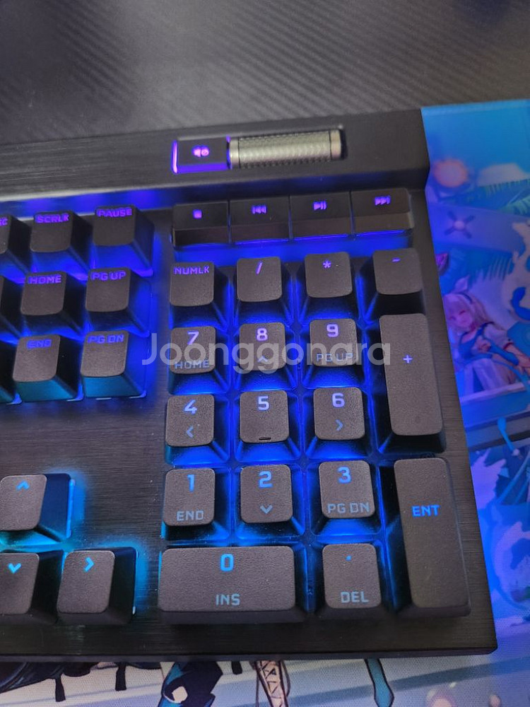 커세어 광적축 k100 rgb opx 한글판 판매--3