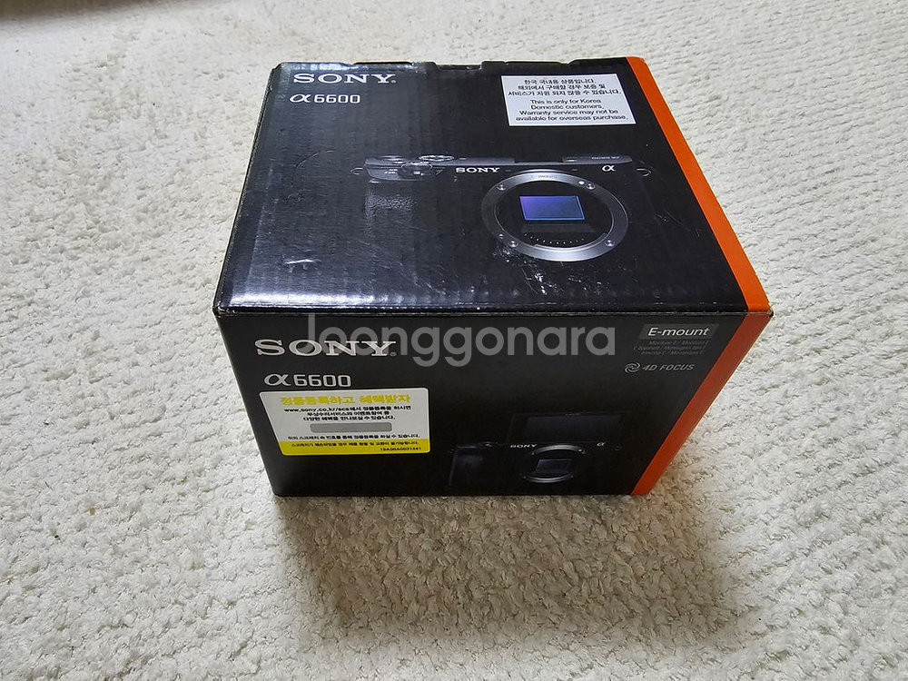 Sony A6600--3