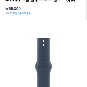 애플워치 스트랩 정품 스포츠밴드 41mm 스톰 블루