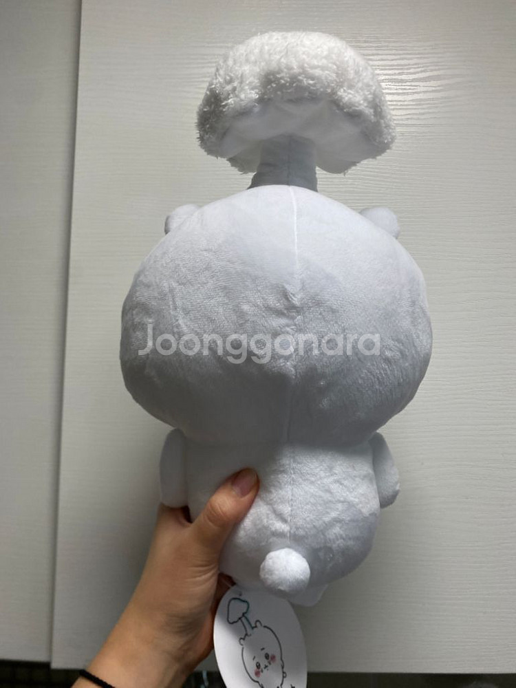 치이카와 인형 일본에서 구매 버섯 치이카와--1