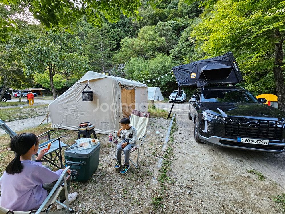 (가격인하)네이처하이크 12y 팝니다.--2