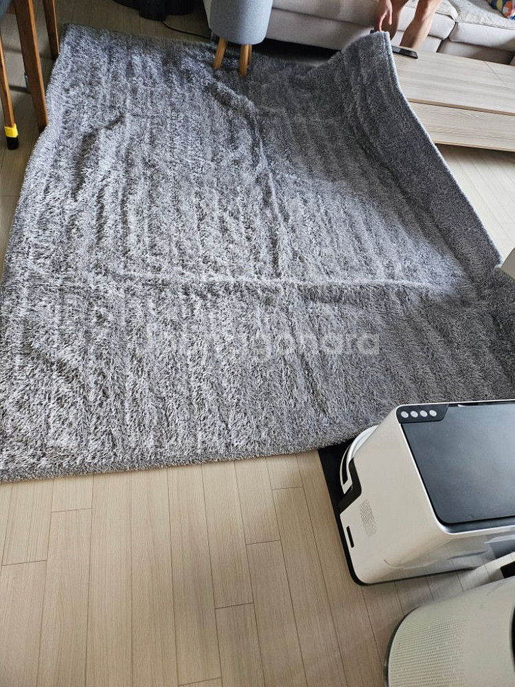 오스타 샤기 카페트200*270--1