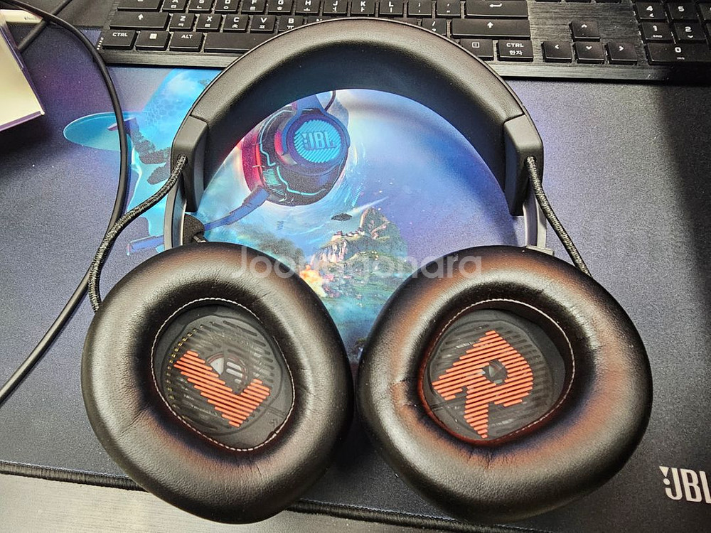 JBL 퀀텀 910--4