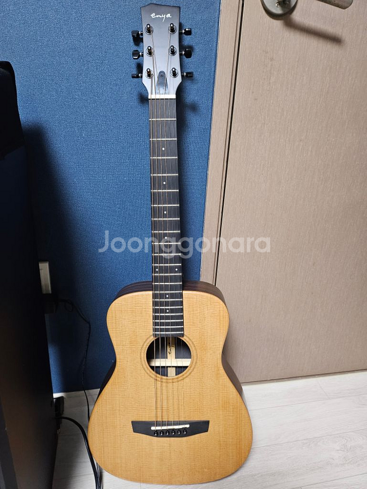 엔야 Enya EB-X1-pro EQ--3