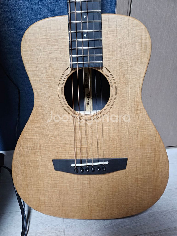 엔야 Enya EB-X1-pro EQ--2