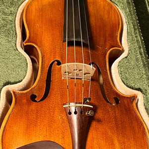 효정 바이올린 hv800 (4/4) 판해
