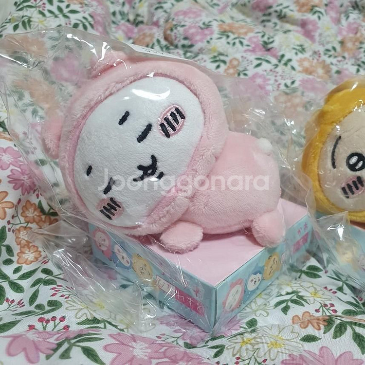 파자마 피타레스토 치이카와, 하치와레--3
