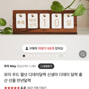모이 우드 디데이달력