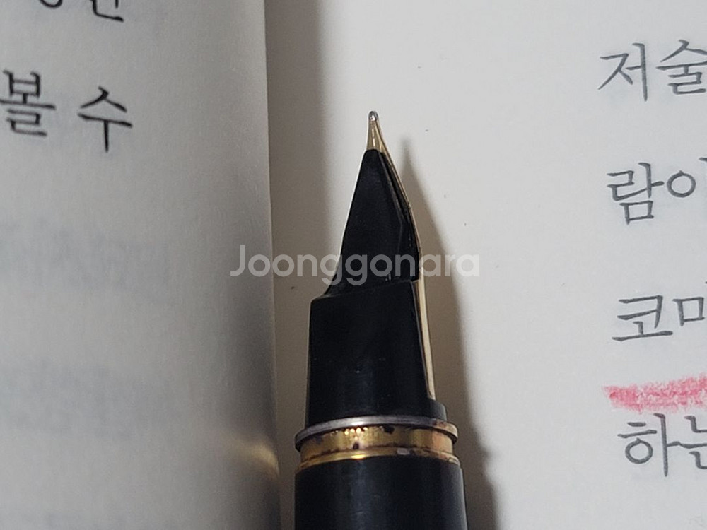 (s급)파이롯트 마키에 만년필 - 국광회, 14K F--5