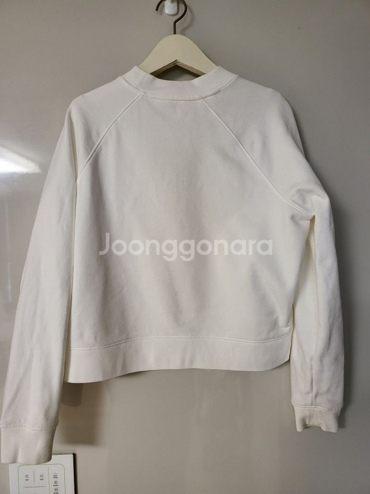 라코스떼 크롭 티셔츠 타임 명품 마인 시스템 오즈세컨--7
