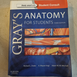 그레이 아나토미 해부학책 Grays anatomy