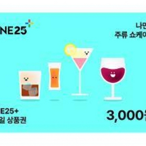 와인25 3000원권