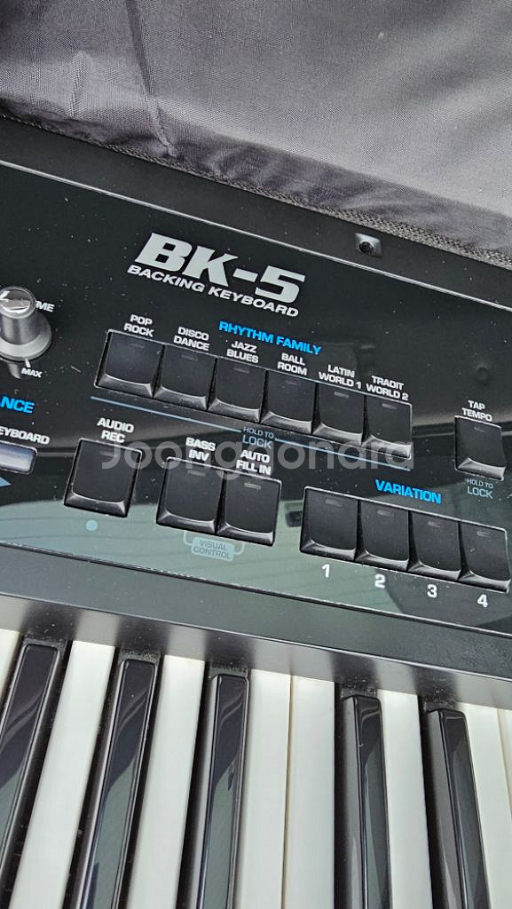 Roland BK-5 키보드--1