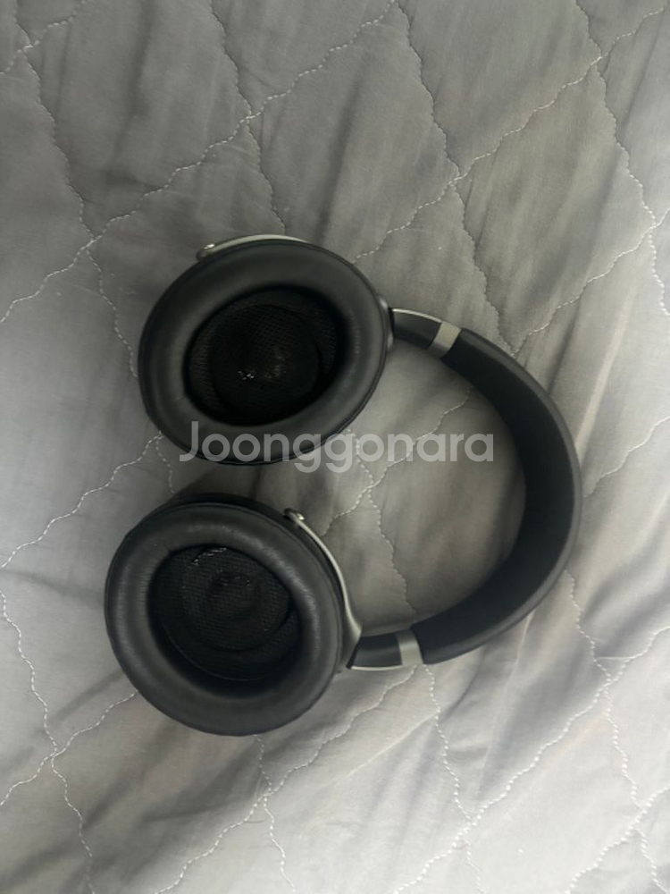 포칼 베티스 팝니다--1