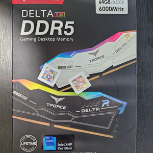 T-Force DDR5 CL38 RGB 64GB 미개봉