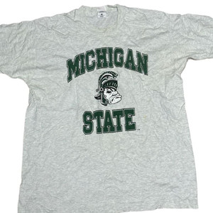 Vintage Michigan state