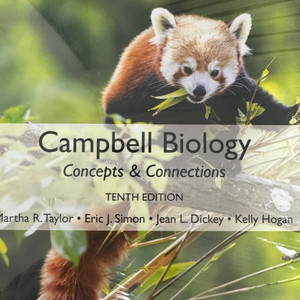 Campbell Biology 캠벨 생명과학 미개봉
