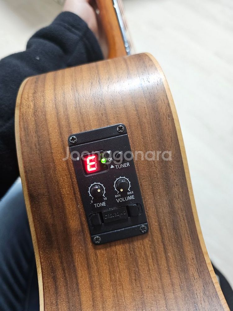 테일러 GS mini e-walnut--3