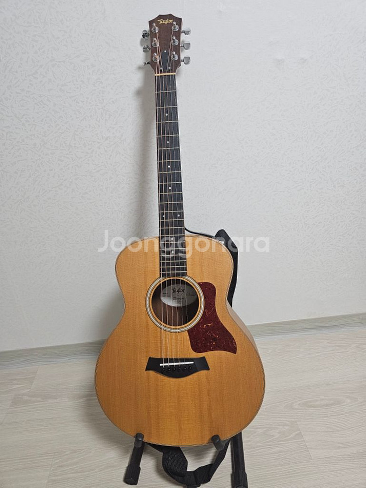 테일러 GS mini e-walnut--2