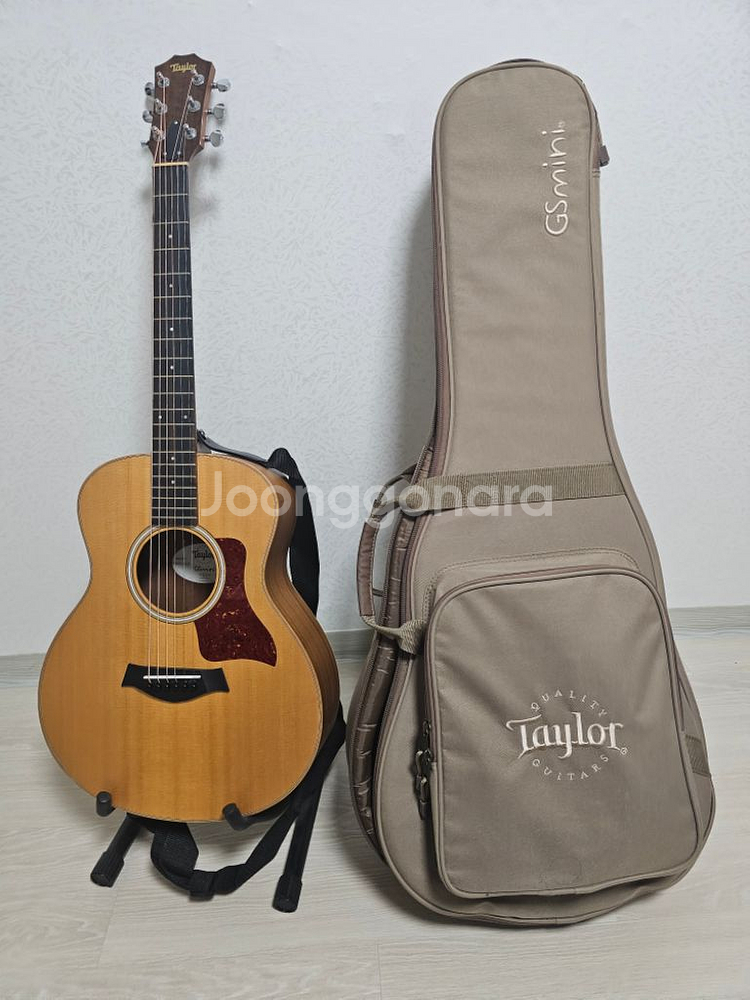 테일러 GS mini e-walnut--1