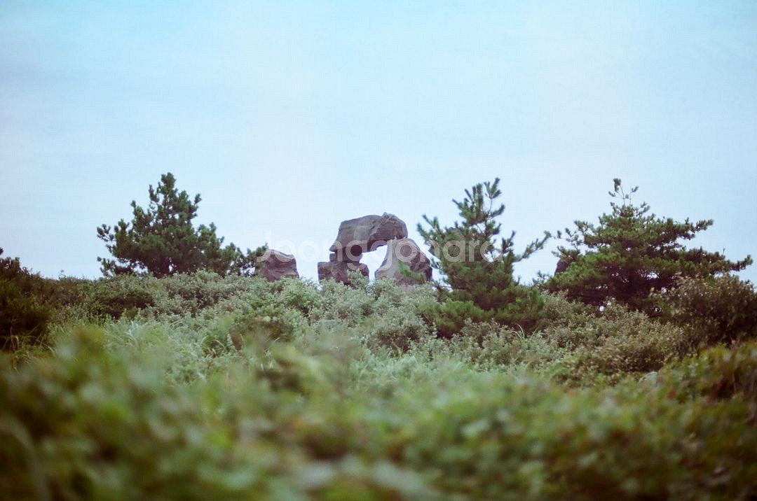 nikon F3 + 52mm 1.4 렌즈--9