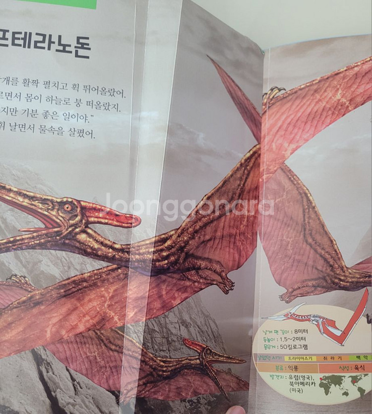 한반도와 세기의 공룡들--2