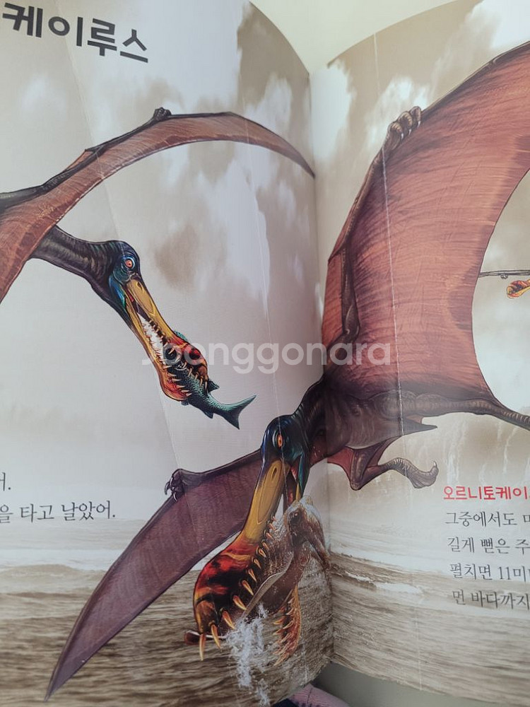 한반도와 세기의 공룡들--6